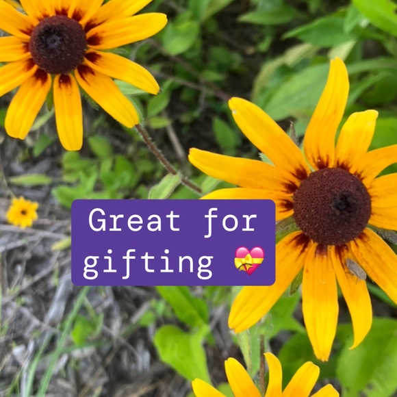 NWT Macintosh 🍎 Yankee Candle Large Original Jar - Picture 5 of 5